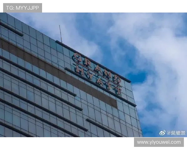 新濠博亚(澳门)股份有限公司:分析公司在澳门旅游经济中的核心作用与行业影响力